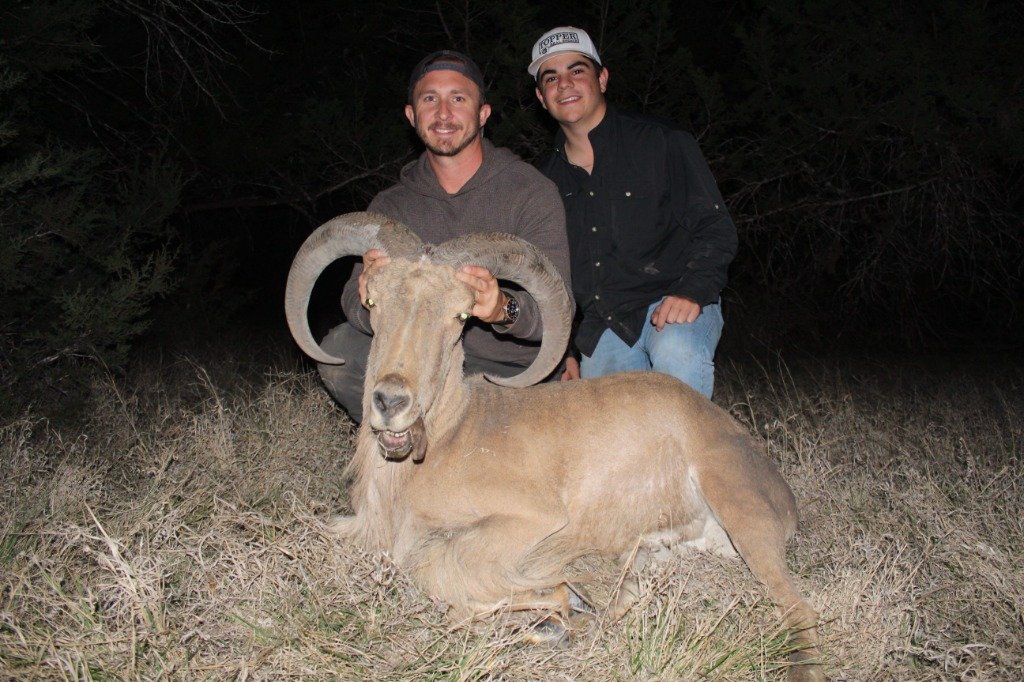 Two hunters holding up horns of a massive Aoudad ram after dark