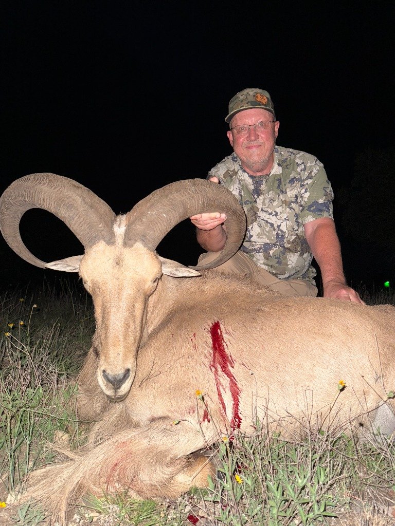 Hunter smiling with mature broom-horned Aoudad ram recovered at night