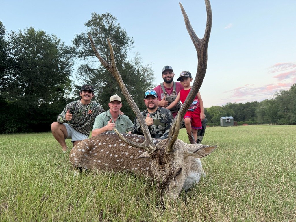 Four hunters including young boy giving thumbs up behind trophy spotted Axis buck