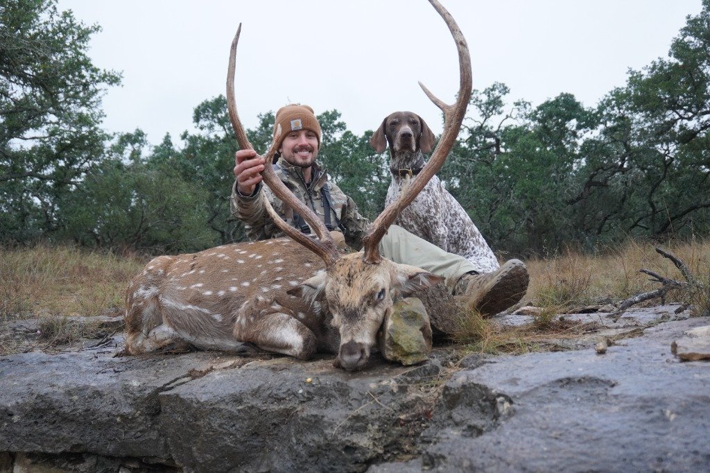 Hunter smiling with German Shorthaired Pointer beside trophy spotted Axis buck