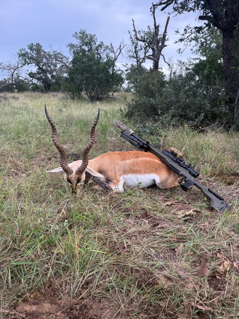 Hunter kneeling beside trophy Blackbuck antelope and precision rifle on tripod