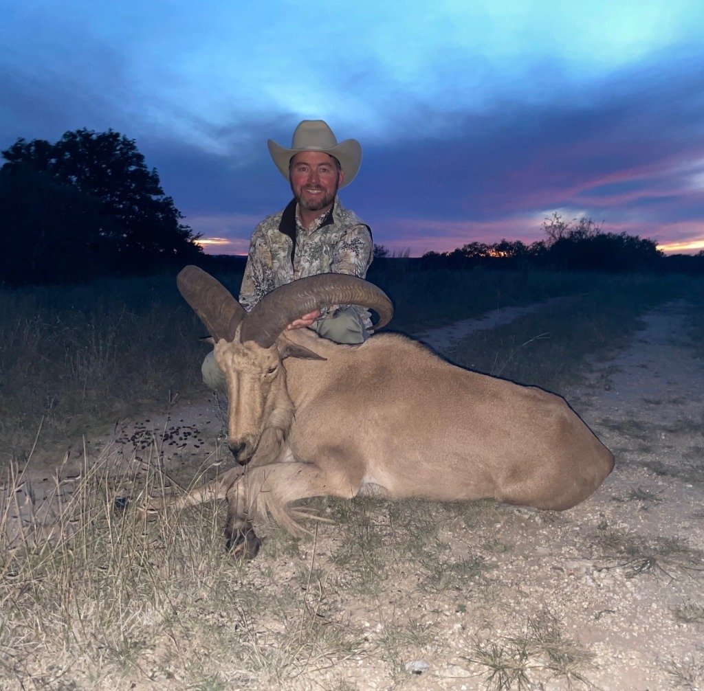 Hunter smiling beside massive trophy Aoudad ram under dramatic purple Hill Country twilight skies